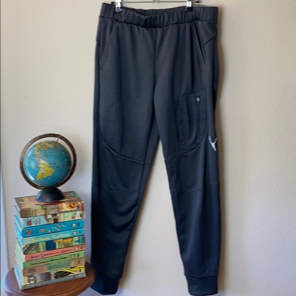 evostripe pants puma